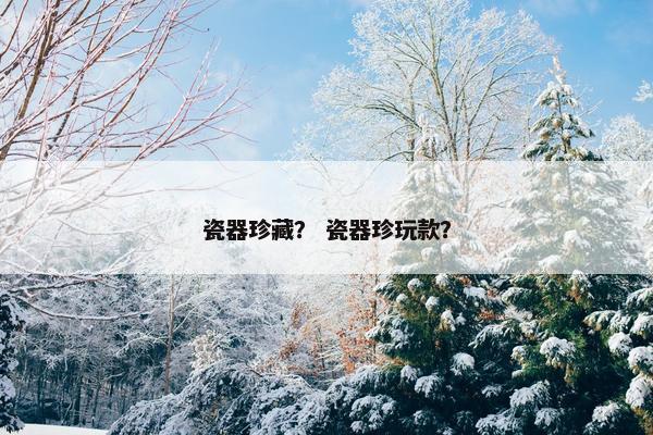 瓷器珍藏？ 瓷器珍玩款？