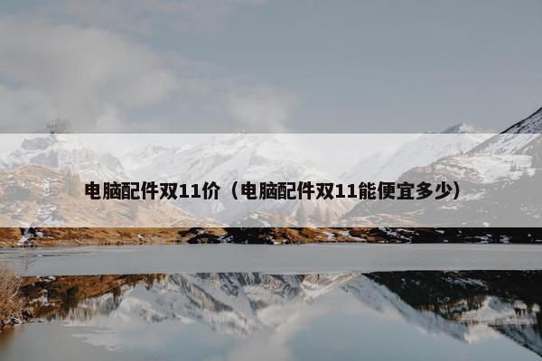 电脑配件双11价（电脑配件双11能便宜多少）