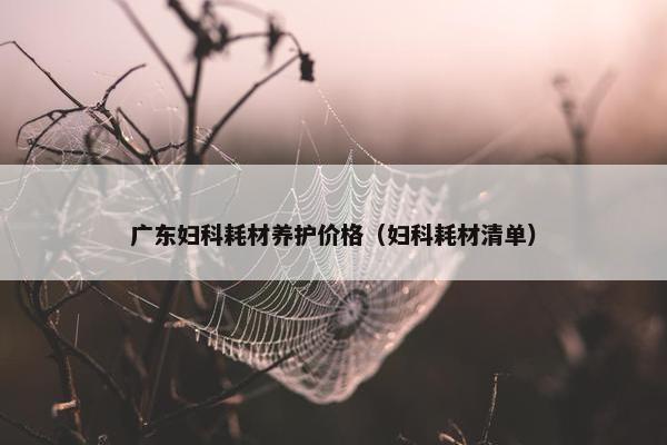 广东妇科耗材养护价格（妇科耗材清单）