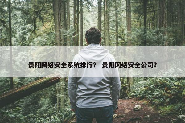 贵阳网络安全系统排行？ 贵阳网络安全公司？