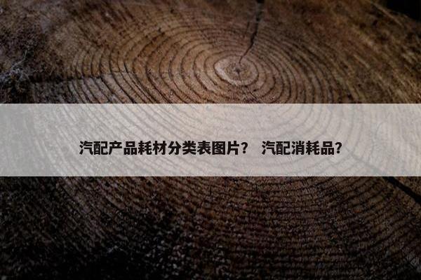 汽配产品耗材分类表图片？ 汽配消耗品？