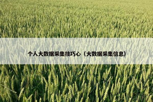 个人大数据采集技巧心(大数据采集信息) 个人大数据采集技巧心(大数据采集信息)