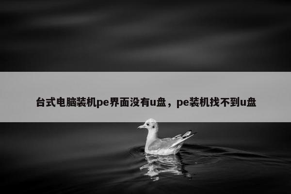 台式电脑装机pe界面没有u盘,pe装机找不到u盘 台式电脑装机pe界面没有u盘,pe装机找不到u盘