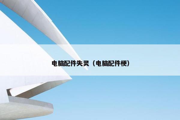 电脑配件失灵（电脑配件梗）