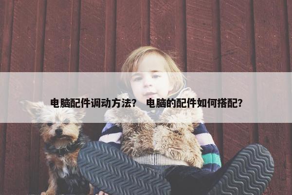 电脑配件调动方法? 电脑的配件如何搭配? 电脑配件调动方法? 电脑的配件如何搭配?