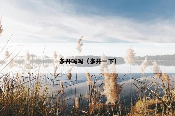 多开吗吗(多开一下) 多开吗吗(多开一下)