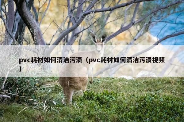 pvc耗材如何清洁污渍(pvc耗材如何清洁污渍视频) pvc耗材如何清洁污渍(pvc耗材如何清洁污渍视频)