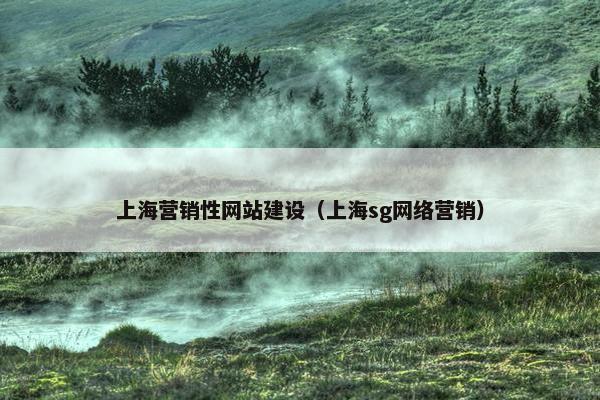 上海营销性网站建设(上海sg网络营销) 上海营销性网站建设(上海sg网络营销)