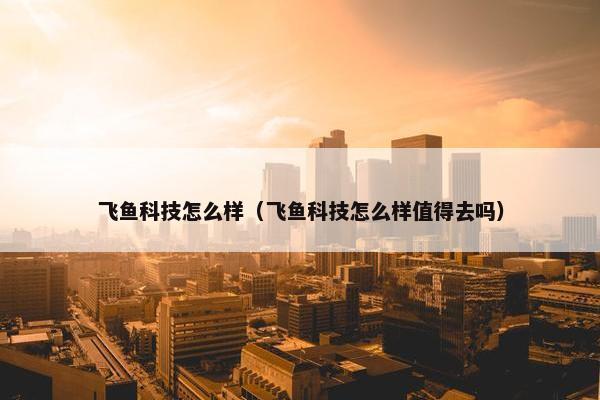 飞鱼科技怎么样（飞鱼科技怎么样值得去吗）