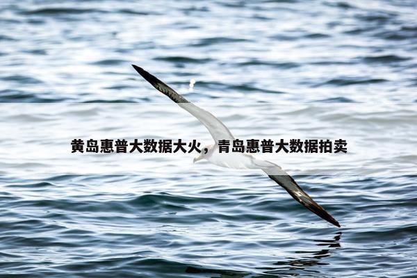 黄岛惠普大数据大火,青岛惠普大数据拍卖 黄岛惠普大数据大火,青岛惠普大数据拍卖
