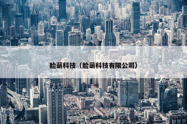 脸萌科技(脸萌科技有限公司) 脸萌科技(脸萌科技有限公司)