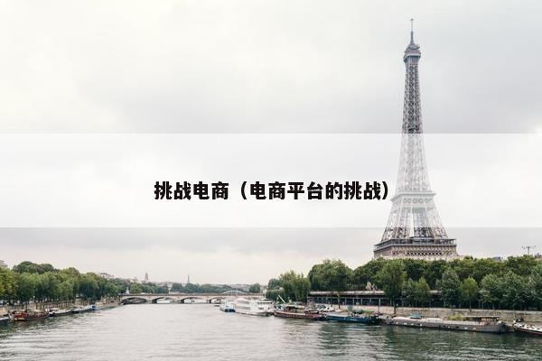 挑战电商(电商平台的挑战) 挑战电商(电商平台的挑战)