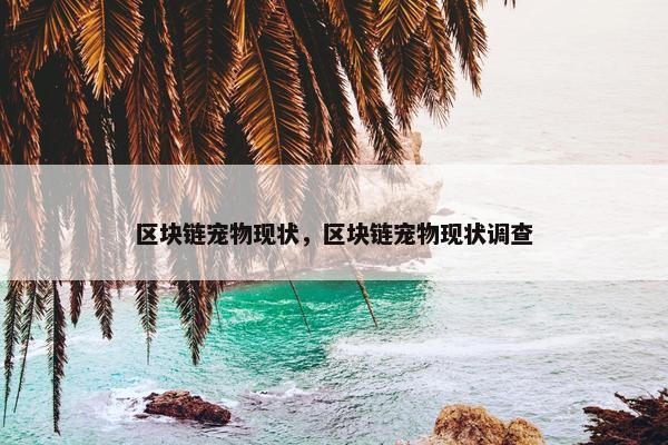 区块链宠物现状,区块链宠物现状调查 区块链宠物现状,区块链宠物现状调查