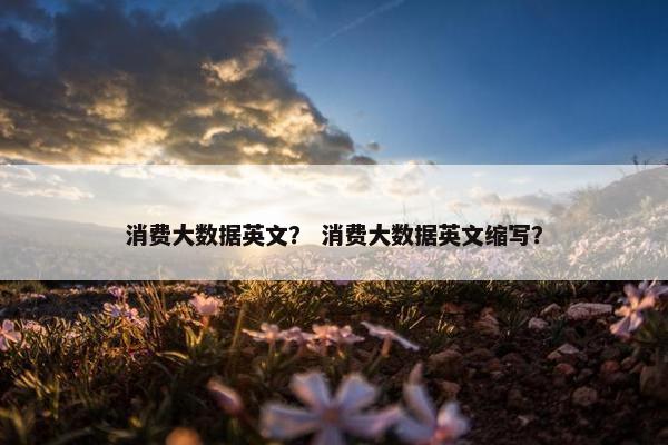 消费大数据英文? 消费大数据英文缩写? 消费大数据英文? 消费大数据英文缩写?