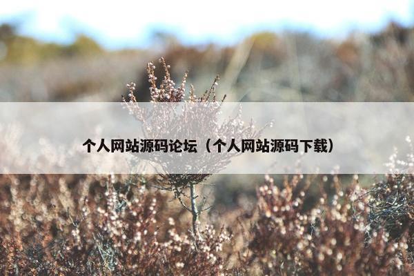 个人网站源码论坛(个人网站源码下载) 个人网站源码论坛(个人网站源码下载)