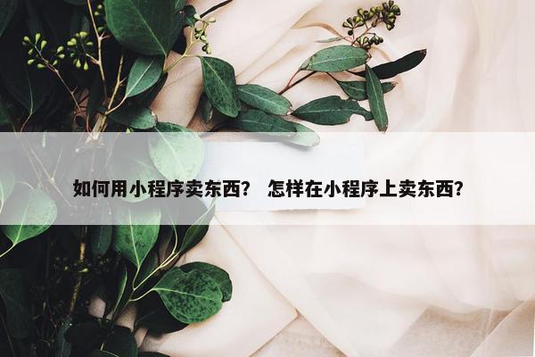 如何用小程序卖东西？ 怎样在小程序上卖东西？