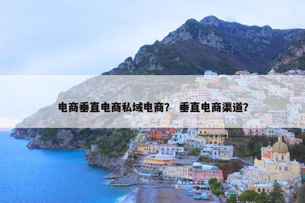 电商垂直电商私域电商? 垂直电商渠道? 电商垂直电商私域电商? 垂直电商渠道?