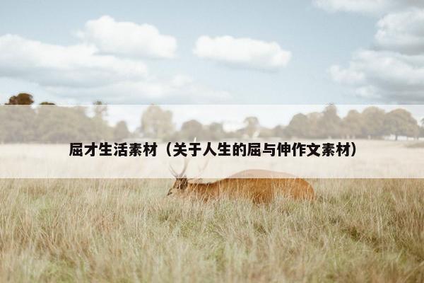 屈才生活素材(关于人生的屈与伸作文素材) 屈才生活素材(关于人生的屈与伸作文素材)