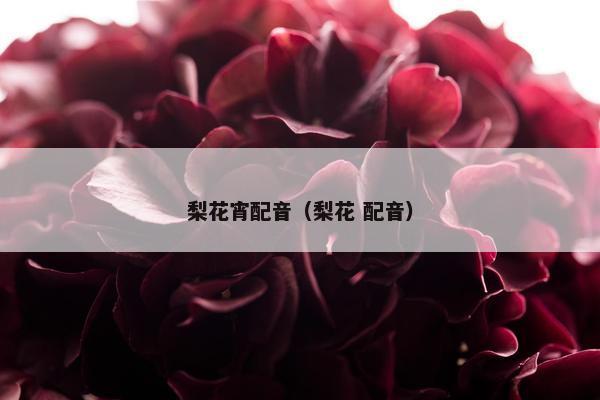 梨花宵配音(梨花 配音) 梨花宵配音(梨花 配音)
