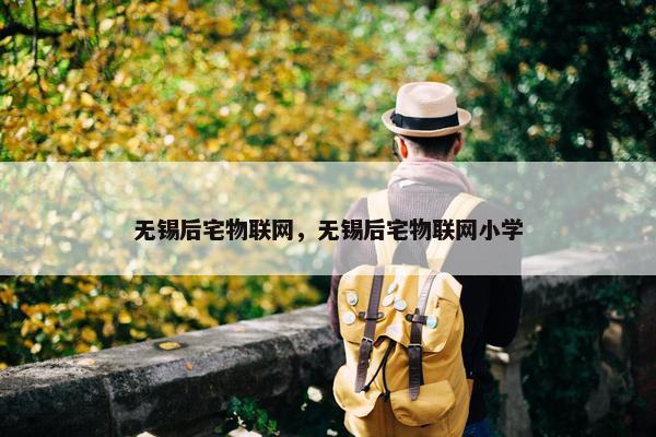 无锡后宅物联网，无锡后宅物联网小学