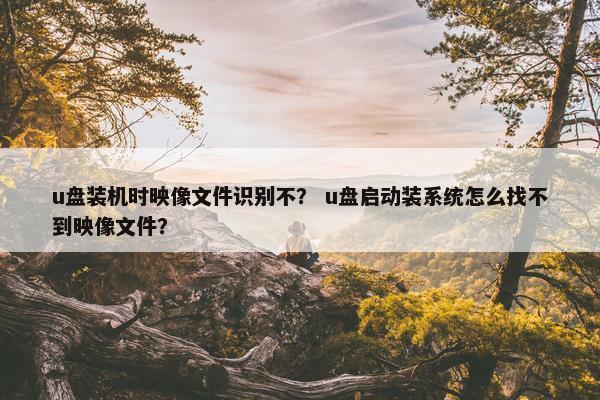 u盘装机时映像文件识别不？ u盘启动装系统怎么找不到映像文件？