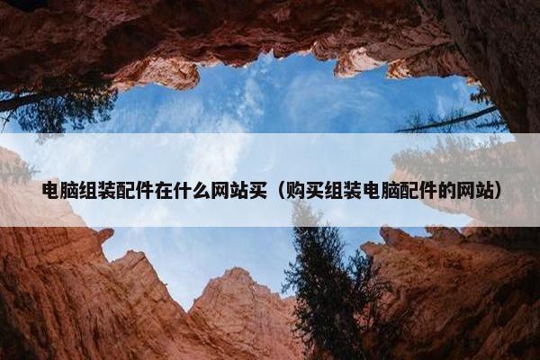 电脑组装配件在什么网站买(购买组装电脑配件的网站) 电脑组装配件在什么网站买(购买组装电脑配件的网站)