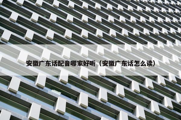 安徽广东话配音哪家好听（安徽广东话怎么读）