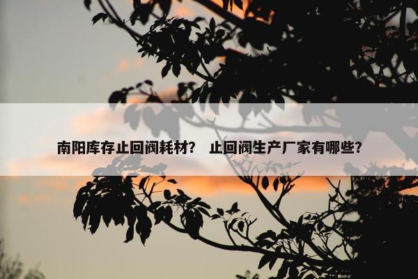 南阳库存止回阀耗材? 止回阀生产厂家有哪些? 南阳库存止回阀耗材? 止回阀生产厂家有哪些?
