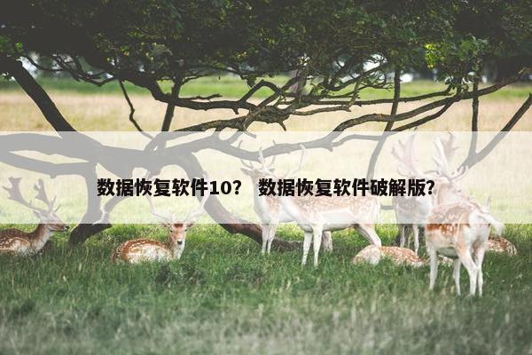 数据恢复软件10? 数据恢复软件破解版? 数据恢复软件10? 数据恢复软件破解版?