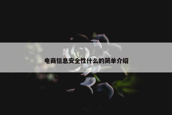 电商信息安全性什么的简单介绍 电商信息安全性什么的简单介绍