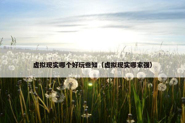 虚拟现实哪个好玩些知（虚拟现实哪家强）