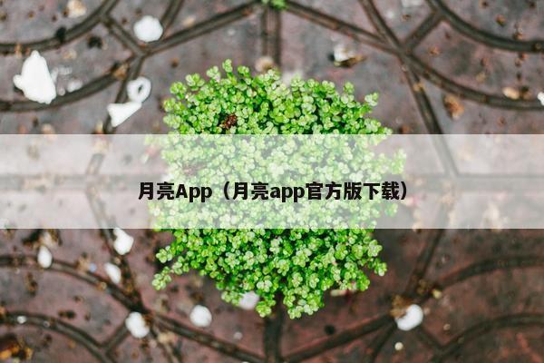 月亮App(月亮app官方版下载) 月亮App(月亮app官方版下载)