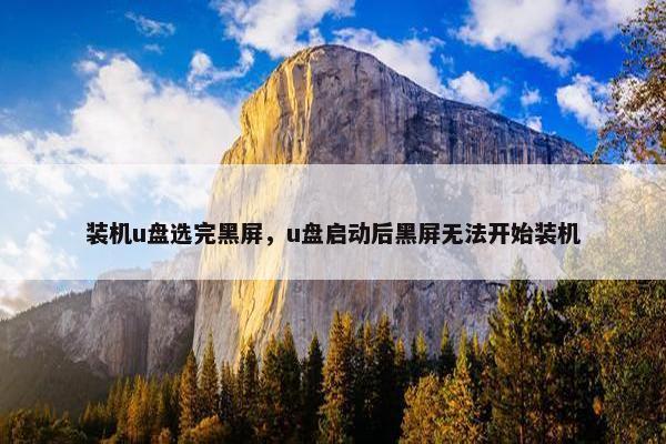 装机u盘选完黑屏,u盘启动后黑屏无法开始装机 装机u盘选完黑屏,u盘启动后黑屏无法开始装机