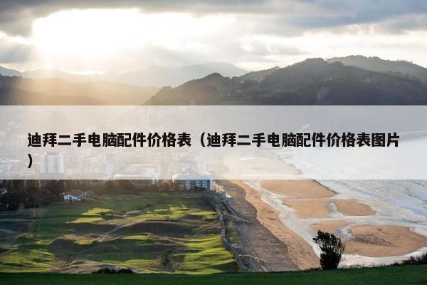 迪拜二手电脑配件价格表（迪拜二手电脑配件价格表图片）