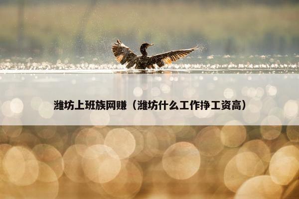 潍坊上班族网赚（潍坊什么工作挣工资高）