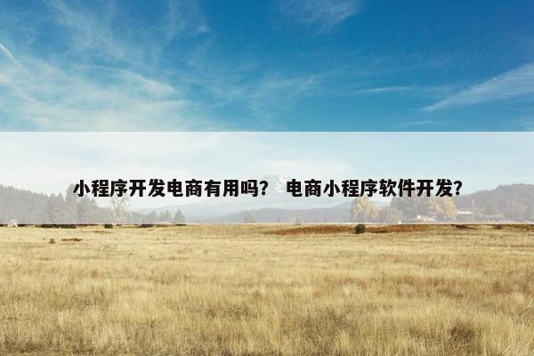小程序开发电商有用吗？ 电商小程序软件开发？