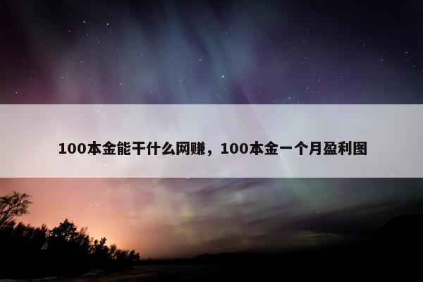 100本金能干什么网赚，100本金一个月盈利图