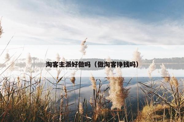 淘客主派好做吗（做淘客挣钱吗）