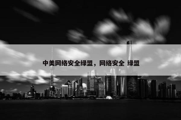 中美网络安全绿盟，网络安全 绿盟