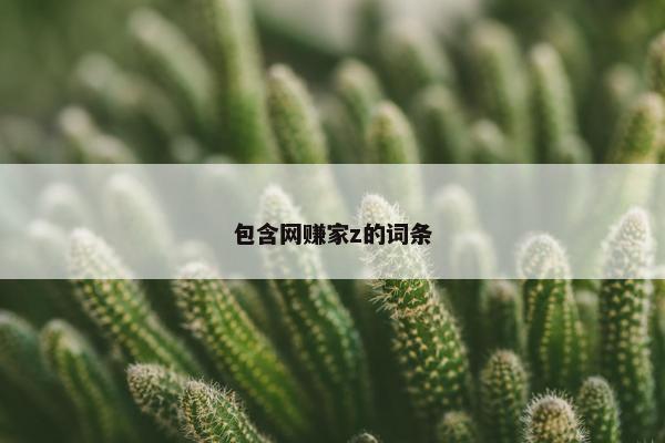 包含网赚家z的词条