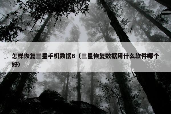 怎样恢复三星手机数据6（三星恢复数据用什么软件哪个好）