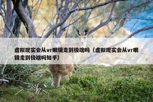 虚拟现实会从vr眼镜走到极端吗(虚拟现实会从vr眼镜走到极端吗知乎) 虚拟现实会从vr眼镜走到极端吗(虚拟现实会从vr眼镜走到极端吗知乎)