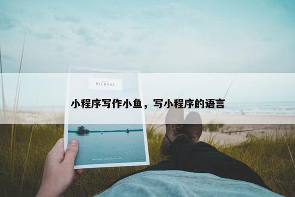 小程序写作小鱼，写小程序的语言