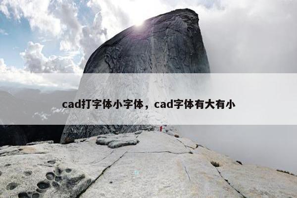 cad打字体小字体,cad字体有大有小 cad打字体小字体,cad字体有大有小