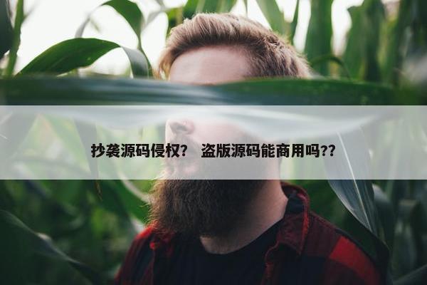 抄袭源码侵权？ 盗版源码能商用吗?？