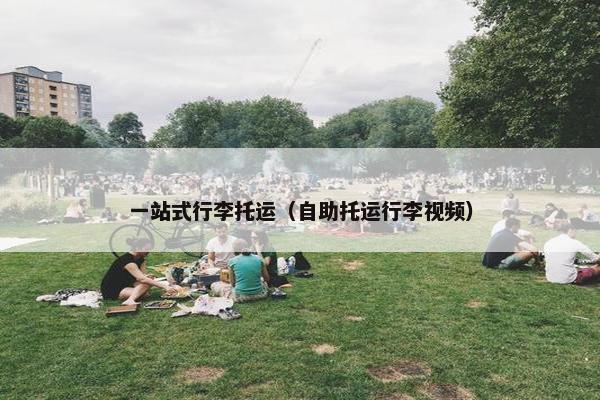 一站式行李托运（自助托运行李视频）