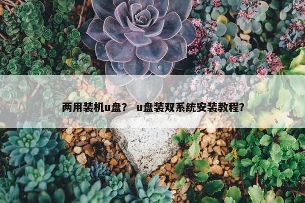 两用装机u盘？ u盘装双系统安装教程？
