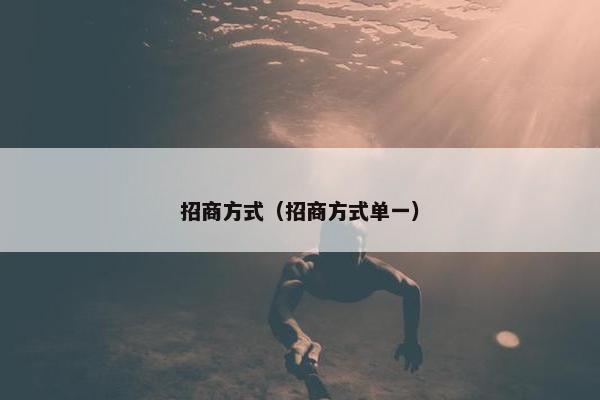 招商方式（招商方式单一）