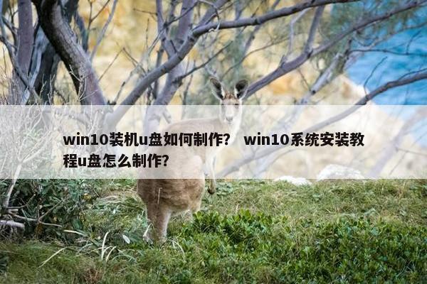 win10装机u盘如何制作? win10系统安装教程u盘怎么制作? win10装机u盘如何制作? win10系统安装教程u盘怎么制作?