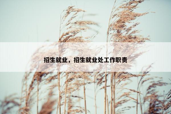 招生就业,招生就业处工作职责 招生就业,招生就业处工作职责